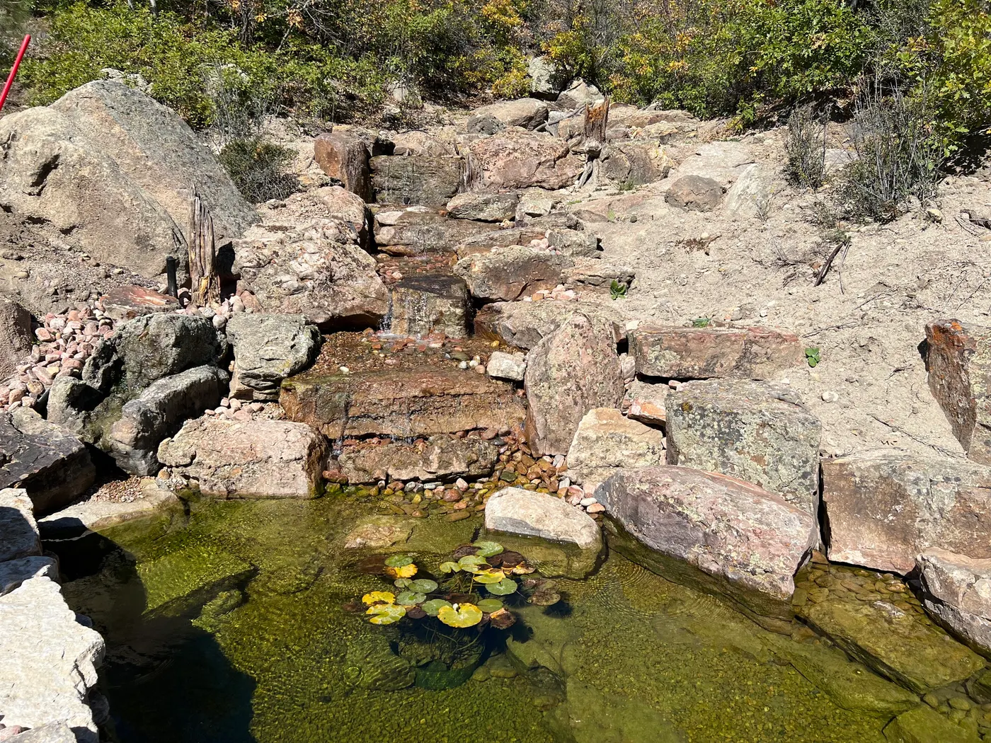 Koi pond with water lilies set among placed boulders